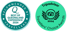 A Palm Cove Stopover